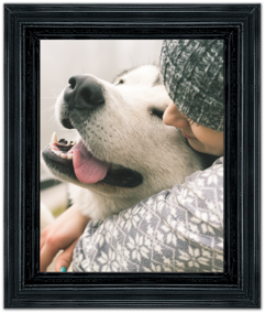 Remember your pet with a famed canvas memorial portraits offered by Caring Pet Cremation Services in Virginia